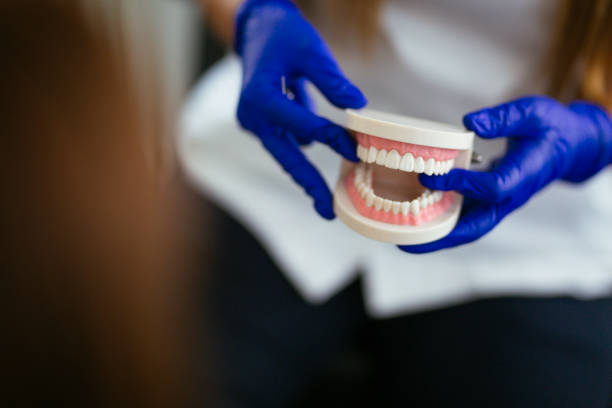 Best Full Mouth Reconstruction  in Palmetto, FL