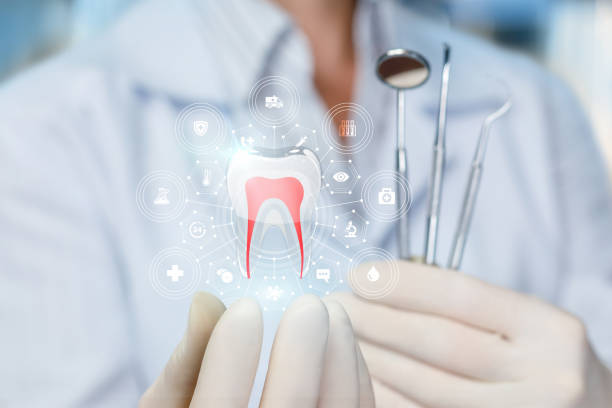 Best Traditional Braces  in Palmetto, FL